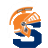 WSHS Maps icon